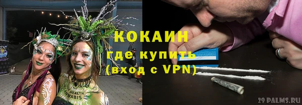 твердый Михайлов